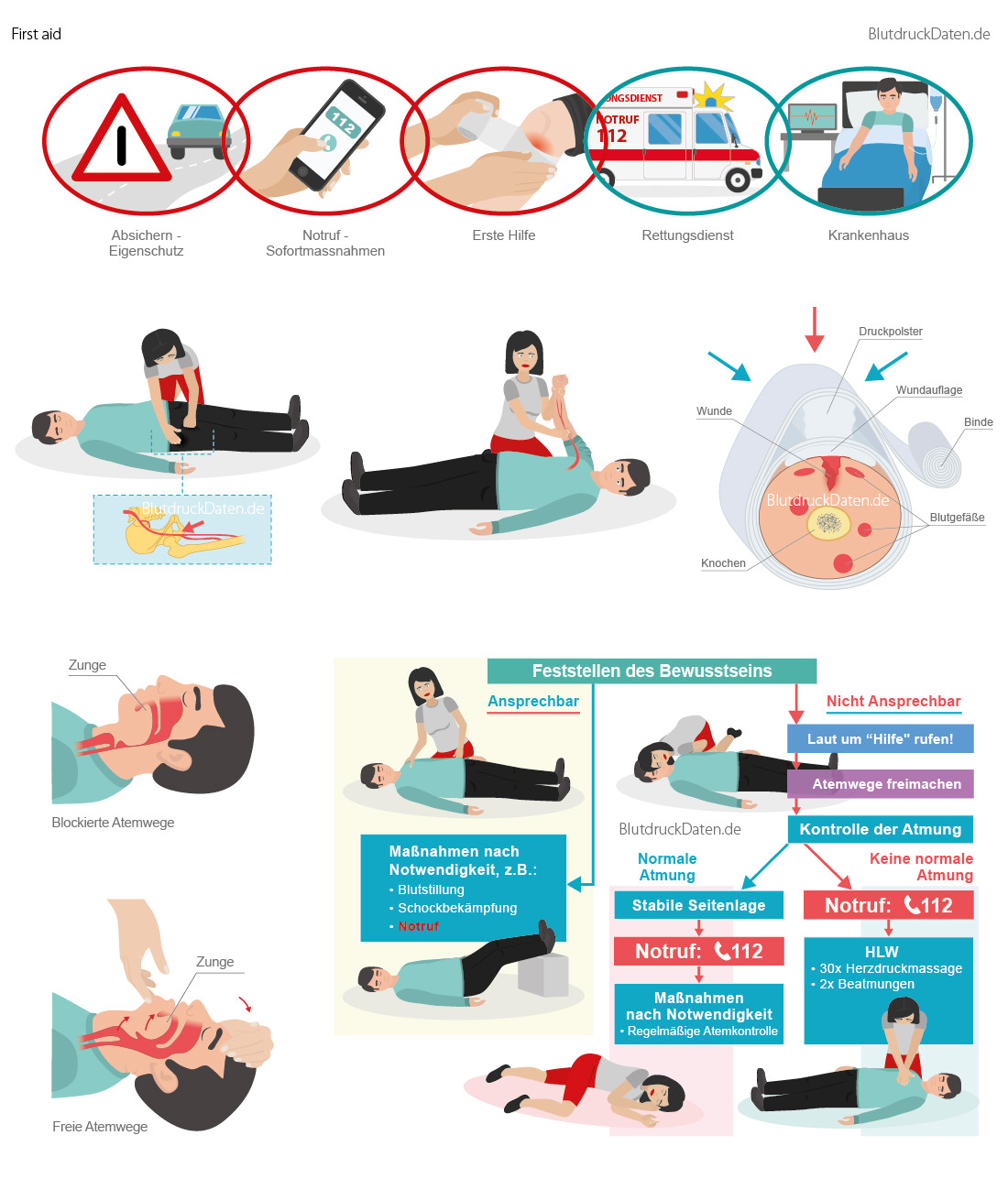 medical illustrations for BlutdruckDaten Germany