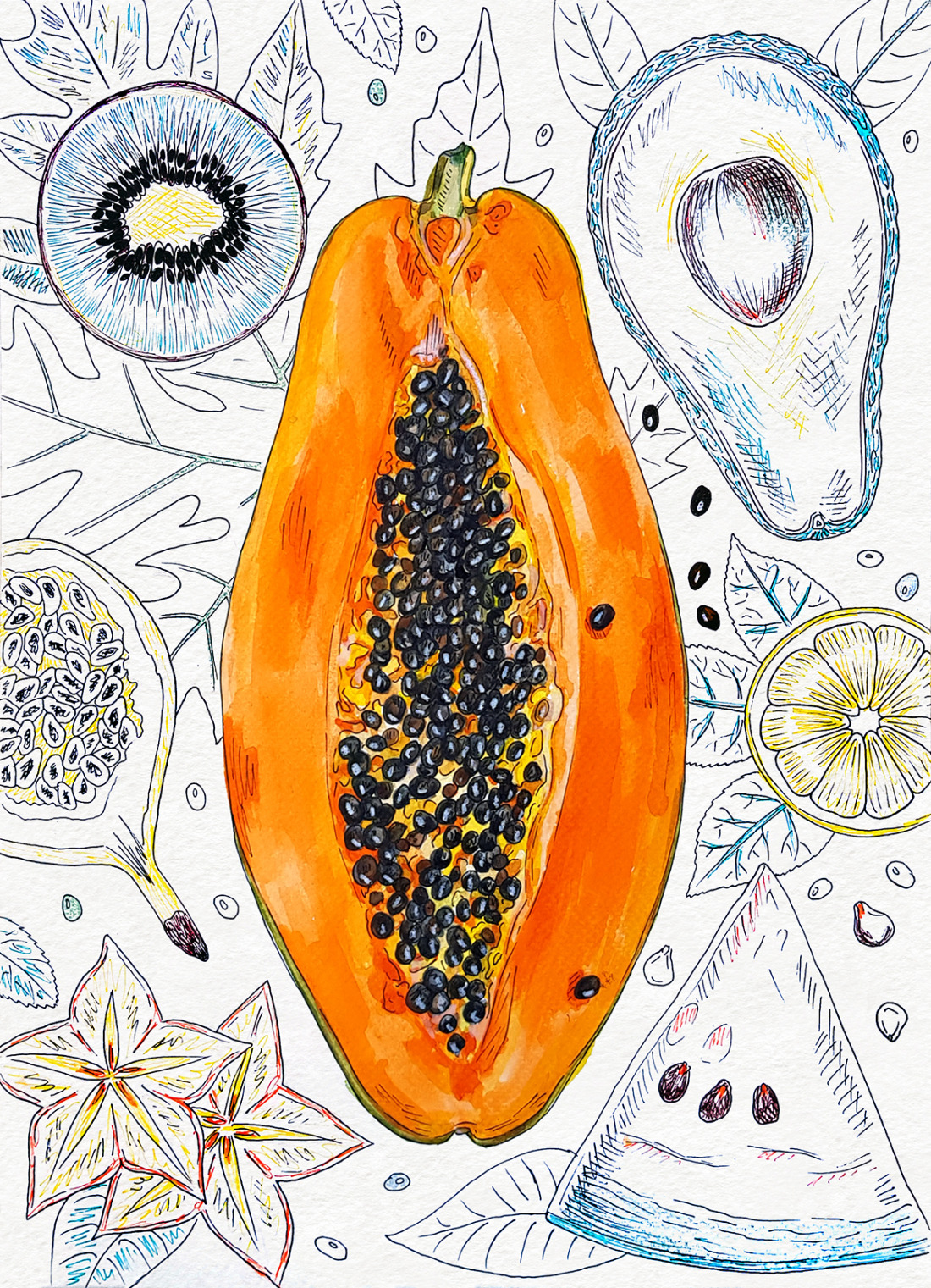 Watercolor illustrations of exotic fruits