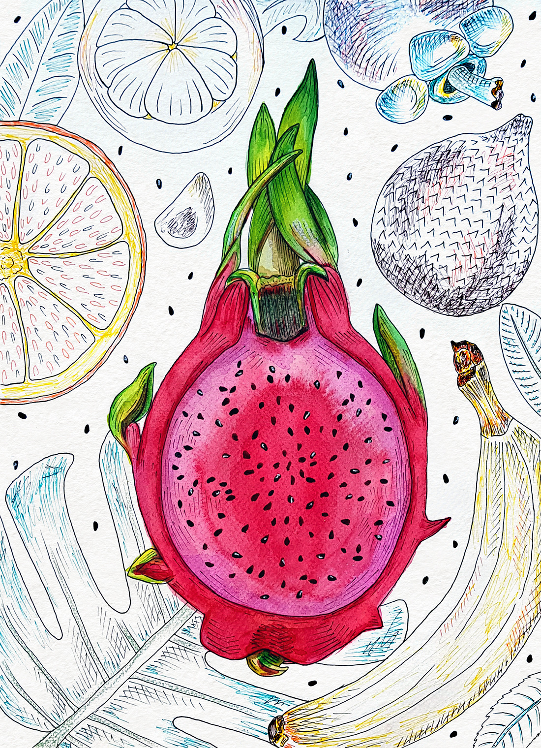 Watercolor illustrations of exotic fruits