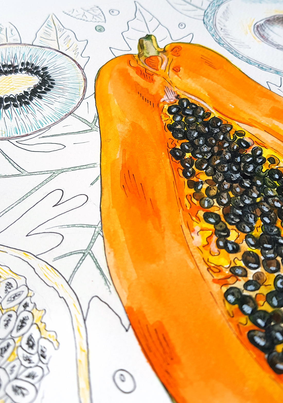 Watercolor illustrations of exotic fruits