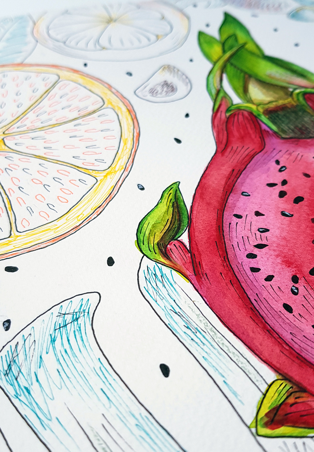 Watercolor illustrations of exotic fruits