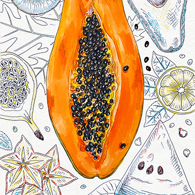 Watercolor illustrations of exotic fruits